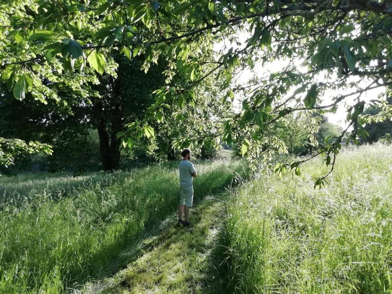 Rando VTT électrique en forêt de la Braconne — La Rochefoucauld